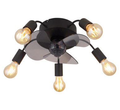 ALISHAceiling fan metal black matt, 5x E27