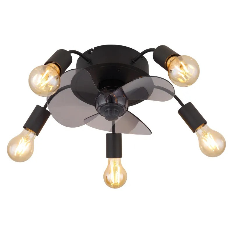 ALISHAceiling fan metal black matt, 5x E27