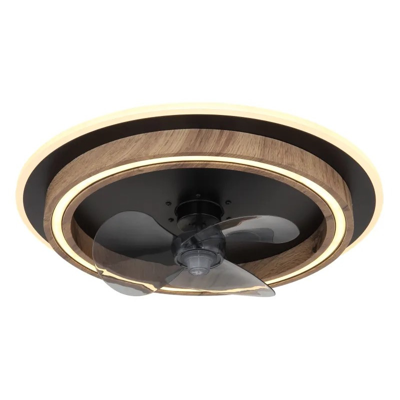BOZANceiling fan metal black matt, LED
