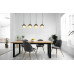 BARRYpendant lamp metal black matt, 4x E27