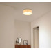 COLLYceiling light metal black matt, 1x E27 LED