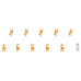 BAILYLED light chain plastic, 10x LED