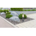 BOSTONOutdoor Light stainless steel anthracite, 1x E27