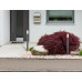BOSTONOutdoor Light stainless steel anthracite, 1x E27