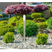 BOSTONOutdoor Light stainless steel, 1x E27 LED