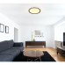 BELISSAceiling light metal black matt, LED
