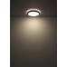 BRUNOceiling light metal black matt, LED
