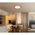 BRUNOceiling light metal black matt, LED