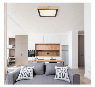 BRUNOceiling light metal black matt, LED