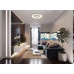 CARAceiling light metal grey matt, LED