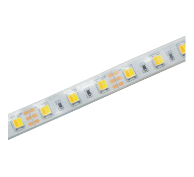 LED STRIP 5M 12W/M 12V DC IP65 CCT Ra80