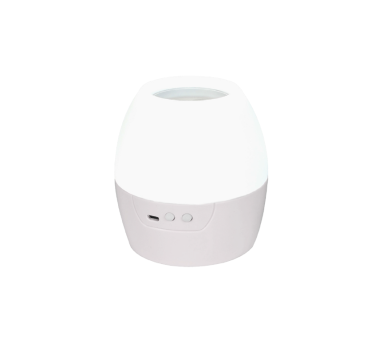 2 IN 1 8W LED NIGHT LIGHT & PROJECTOR WITH 4 PATTERNS AND 1M USB CABLE OR 3XAA