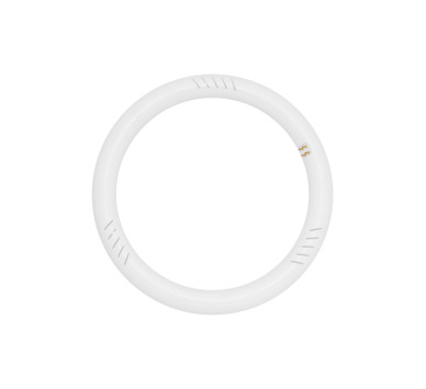 LED SMD G10Q 16W 6500K 30CM 1700LM 230V AC RA80 30000H 120°