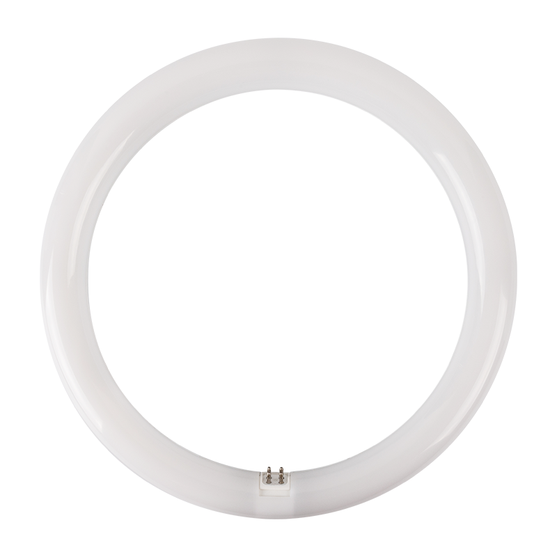 LED SMD G10Q 19W 6500K 298mm 2000LM 230V AC RA80 30000H 120°