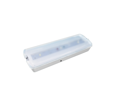 Φ/Σ ΑΣΦΑΛΕΙΑΣ LED ΕΠΙΤ. 2W TEST BUTTON 3HRS 100LM 6000K 230V