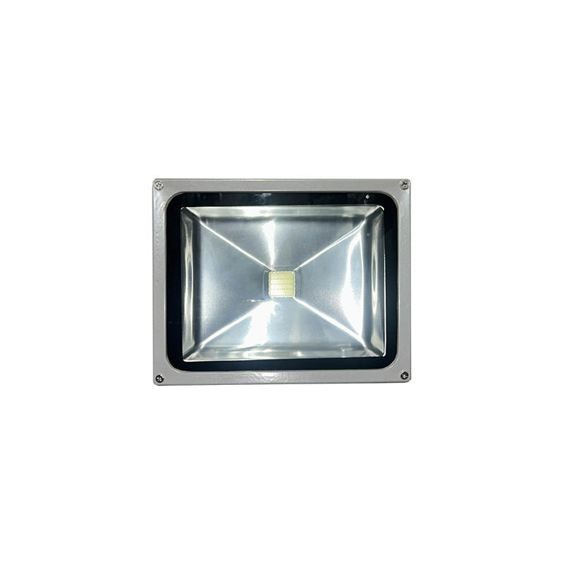 ΠΡΟΒΟΛΕΑΣ LED 30W 6500K 12V DC
