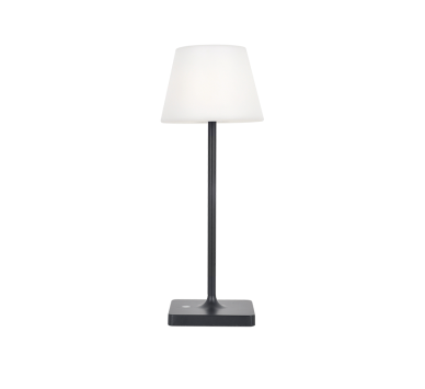 LED SMD TABLE BATTERY LUMINAIRE 2W 170LM  3.000K DARK GREY 360°  CRI80 IP54