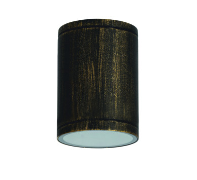 E27 PAR30  ROUND CEILING LUMINAIRE 230V AC GOLDEN BLACK IP65 MAX.35W