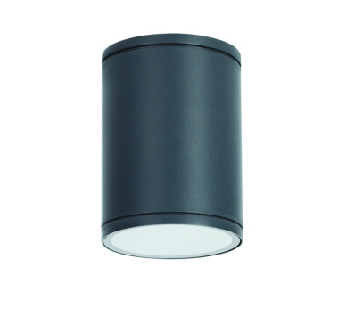 E27 PAR30  ROUND CEILING LUMINAIRE 230V AC DARK GREY IP65 MAX.35W