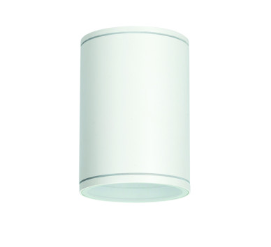 E27 PAR30  ROUND CEILING LUMINAIRE 230V AC MATT WHITE IP65 MAX.35W