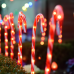  "4 CANDY STAKES" 40 WW LED ΛΑΜΠΑΚΙΑ 8ΠΡΟΓΡΑΜ ΑΝΑΠΤ(4.5V) IP44 M1.5m*Φ2.5cm*Y60cm 0.5m ΠΡΑΣ ΚΑΛ ΤΡ
