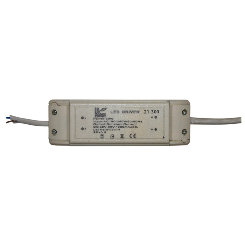 ΤΡΟΦΟΔOTIKO ΦΩΤΙΣΤΙΚΟΥ ΨΕΥΔΟΡΟΦΗΣ LED 30W Output 28-36VDC 900mA