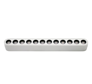 LED ΦΩΤΙΣTIKO ΡΑΓΑΣ ΜΙΝΙ 12W 40VDC 36° 4000K ΛΕΥΚΟ