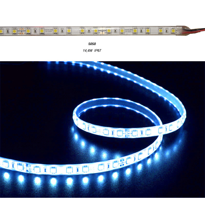 ΤΑΙΝΙΑ LED 5m 24VDC 14.4W/m 5050 60LED/m ΜΠΛΕ IP67 ECO