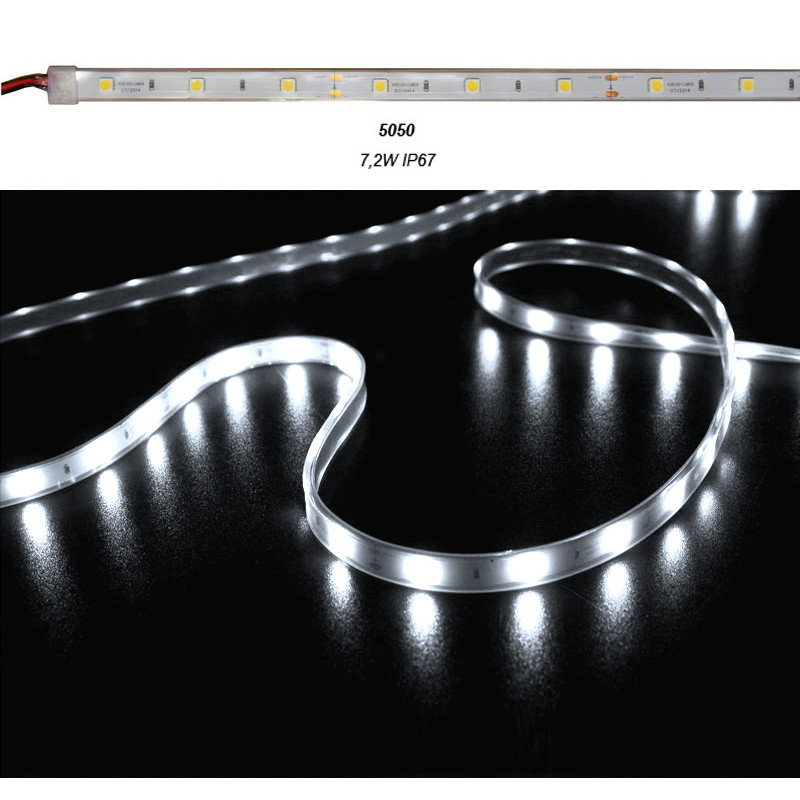 ΤΑΙΝΙΑ LED 5m 12VDC 7.2W/m 5050 30LED/m 6500Κ ΨΥΧΡΟ IP67 ECO
