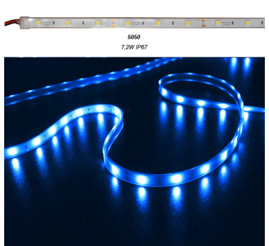 ΤΑΙΝΙΑ LED 5m 12VDC 7.2W/m 5050 30LED/m ΜΠΛΕ IP67 ECO