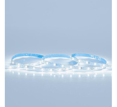 ΤΑΙΝΙΑ LED FLEXIBLE 5M 10W 24V 6500K IP20 PRO