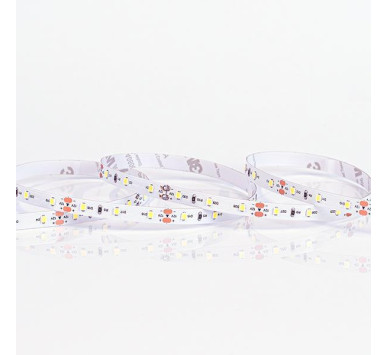 ΤΑΙΝΙΑ LED 5M 10W 24V 6500K IP20 PRO