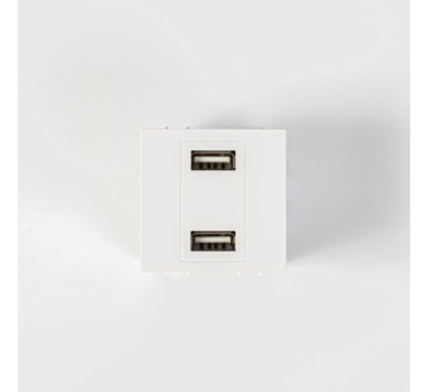 ΠΡΙΖΑ 2 Χ USB MODULES ΛΕΥΚΗ