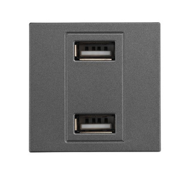 ΠΡΙΖΑ 2 Χ USB MODULES ΓΡΑΦΙΤΗΣ
