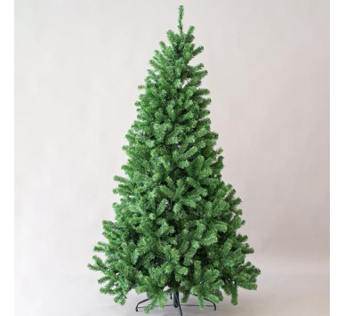 ΕΛΑΤΟ ΑΛΑΜΠΑΜΑ, 210cm