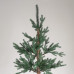 ΔΕΝΤΡΟ ΔΑΝΙΑ, PE KAI PVC, ΜΕ ΞΥΛΙΝΟ ΚΟΡΜΟ ΣΤΗ ΒΑΣΗ, 210cm