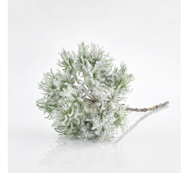 ΚΛΑΔΙ ANEMΩNH, ΜΕΝΤΑ, 64cm