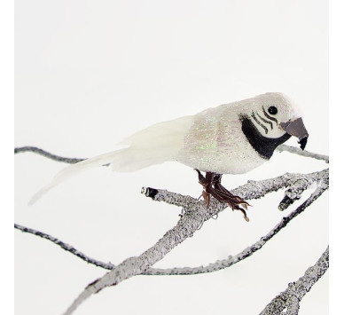 ΠΑΠΑΓΑΛΟΣ ΛΕΥΚΟΣ, 14cm