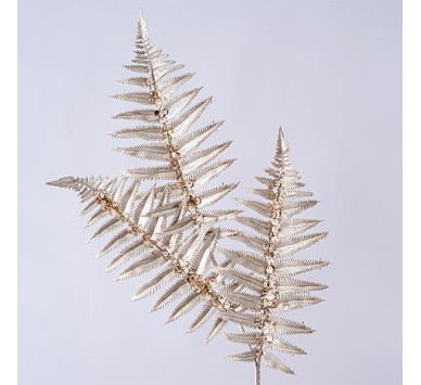 ΦΤΕΡΗ, ΣΑΜΠΑΝΙ, ΤΡΙΠΛΗ, 78cm