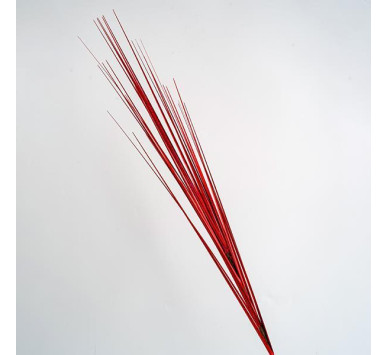 ΚΛΑΔΙ, ΚΟΚΚΙΝΟ ΜΕΤΑΛΙΖΕ, 80cm