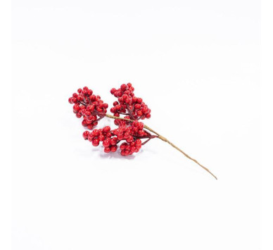 ΚΛΑΔΙ ΜΕ BERRY, 70cm