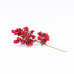 ΚΛΑΔΙ ΜΕ BERRY, 70cm