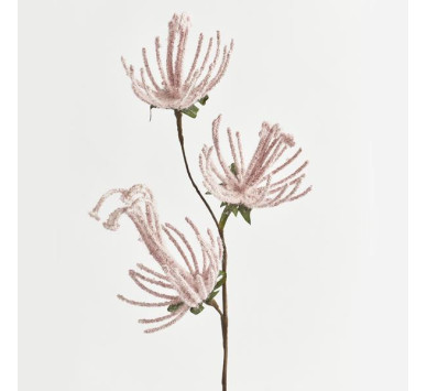 ΚΛΑΔΙ, ΜΕ ΡΟΖ ΛΟΥΛΟΥΔΙΑ, 51cm