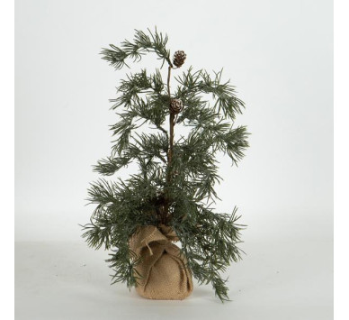 ΔΕΝΤΡΑΚΙ ΙΤΙΑ, 44cm