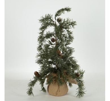 ΔΕΝΤΡΑΚΙ ΙΤΙΑ, 54cm