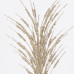 ΚΛΑΔΙ CATTAIL, ΣΑΜΠΑΝΙ, 61cm