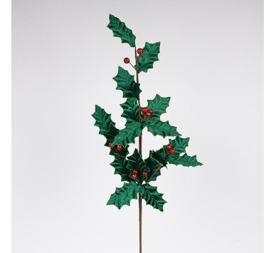 ΚΛΑΔΙ ΓΚΙ, 80cm