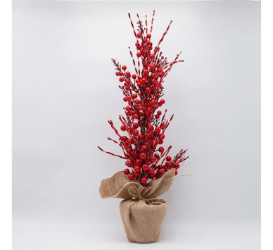 ΔΕΝΤΡΑΚΙ BERRY, 63cm