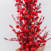 ΔΕΝΤΡΑΚΙ BERRY, 63cm