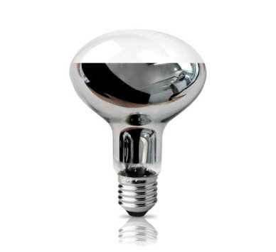 ECO HALOGEN R80 Ε27 42W 2800Κ 630LM 120D ΦOSME